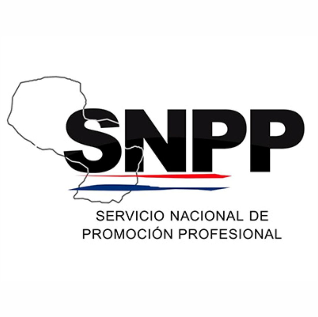 Encuestas Cursos SNPP